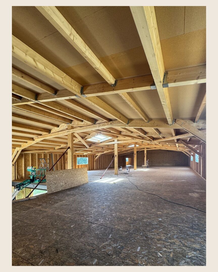 Chantier de l’atelier Destribois à Zellwiller : la charpente terminée (photo 1 sur 3)